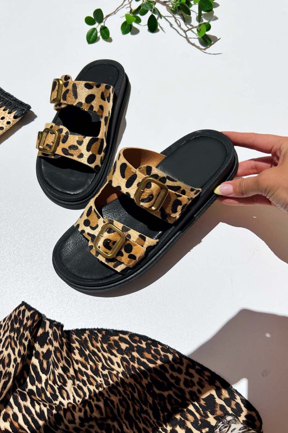 Wild flatforms λεοπάρ