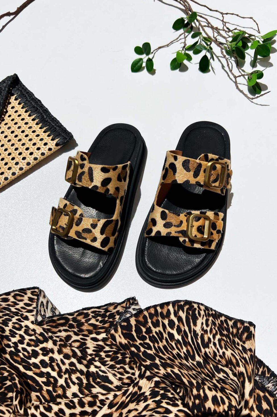 Wild flatforms λεοπάρ